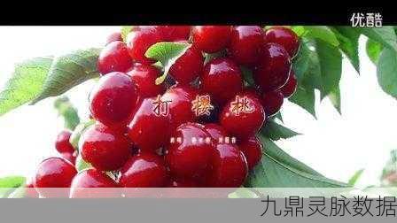 樱桃网在线免费观看:1. 樱桃网:畅享全球热门影视资源在线免费观看