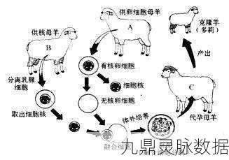 98精品一二三产区区发现国:以下是根据98精品一二三产区的特点,拓展出的新
