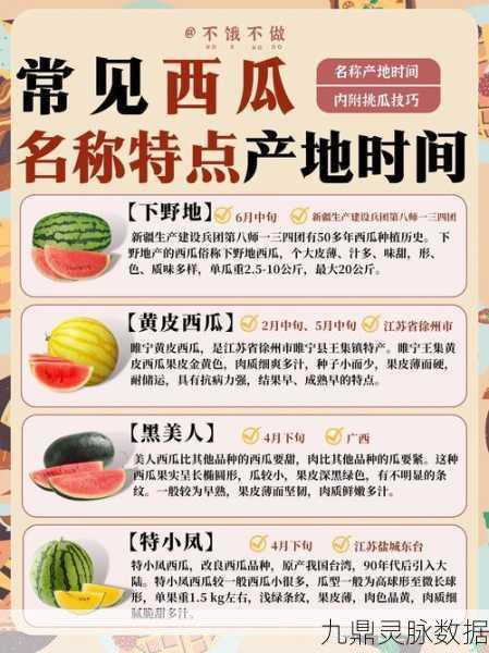 五一吃瓜:1. 五一假期吃瓜指南:如何挑选最佳西瓜