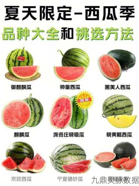 五一吃瓜:1. 五一假期吃瓜指南:如何挑选最佳西瓜