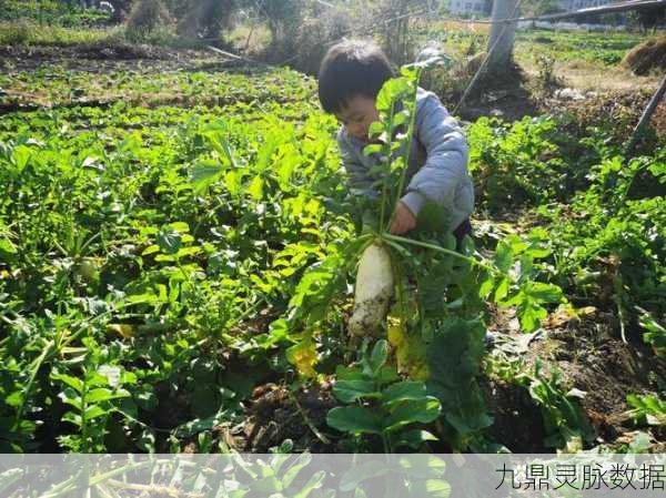 二人世界拔萝卜生猴子软件:1. 二人世界中的奇妙冒险:拔萝卜与生猴子的乐趣