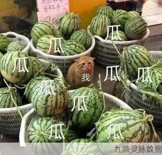 911爆料网红领巾瓜报入口小僵尸：1. ＂小僵尸领巾瓜揭秘：网红背后的秘密故事