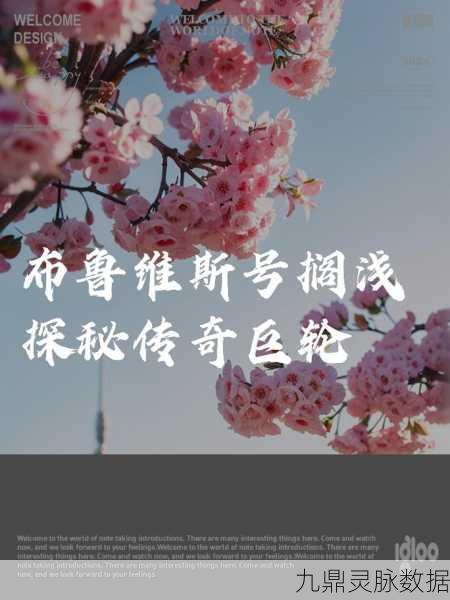 揭秘布鲁维斯的搁浅之谜