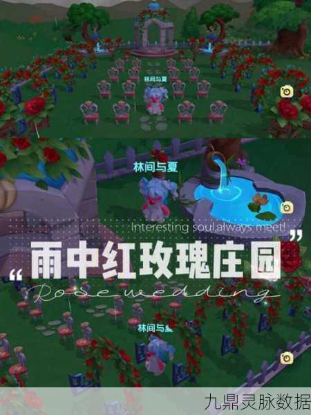 摩尔庄园邻居系统全攻略,轻松搭建亲密邻里关系