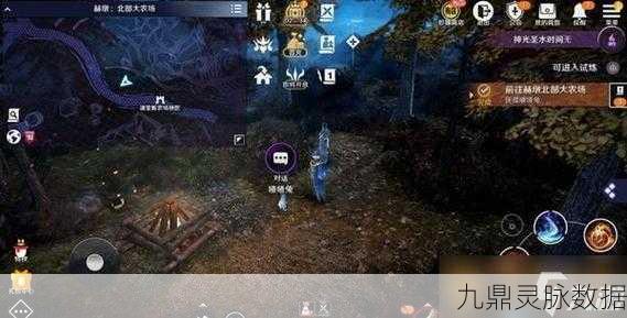 黑色沙漠手游,揭秘动物引领的神秘之地