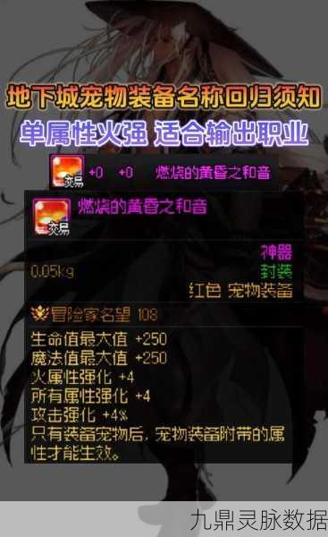 DNF 宠物全解析,名称与作用大揭秘