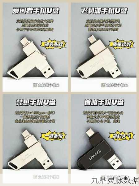 解密 U 盘品牌质量,十大排行与选购指南