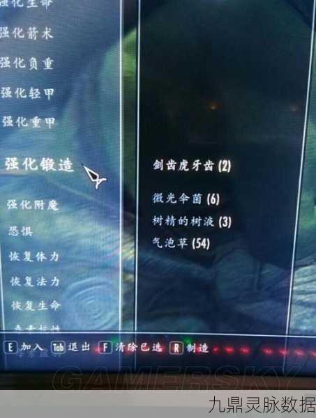 上古卷轴 5 代码秘籍,解锁无限可能的通关宝典