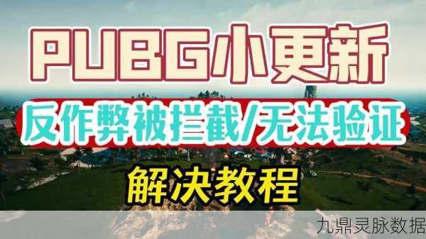 绝地求生刺激战场轻量版，进不去的困扰与解决方案