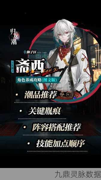 归龙潮顶尖角色选择策略与深度剖析
