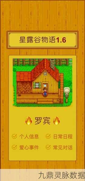 星露谷物语,揭秘收集包的奇妙世界