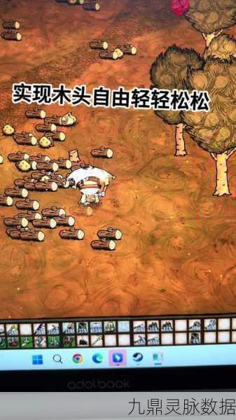 饥荒世界探索，揭秘地皮挖掘技巧与奥秘
