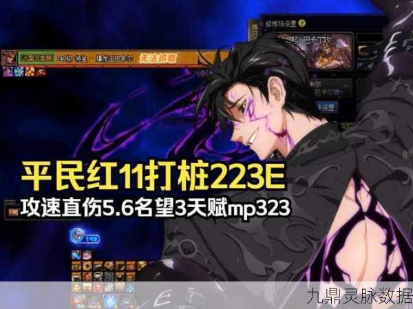 暗枪之影，揭秘DNF中神秘枪术师的非凡魅力