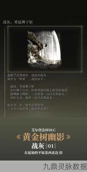 艾尔登法环龙息废墟深度探索,图文详解与实战攻略