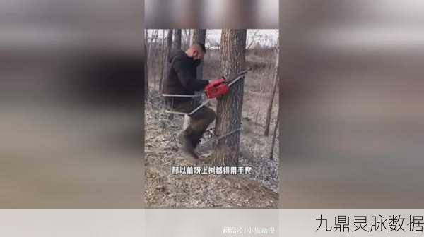 神器在手,轻松撸过大树——解压闯关新体验