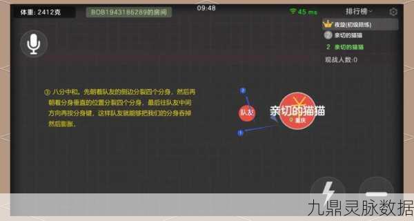 球球大作战战队管理秘籍，队长如何优雅处理正式队员问题
