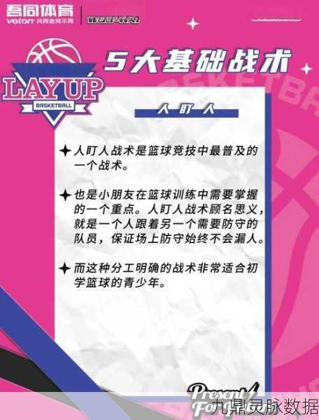 球球大作战战队管理秘籍,队长如何优雅处理正式队员问题