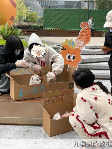 地铁偶遇萌宠，开启温馨猫咪养成之旅