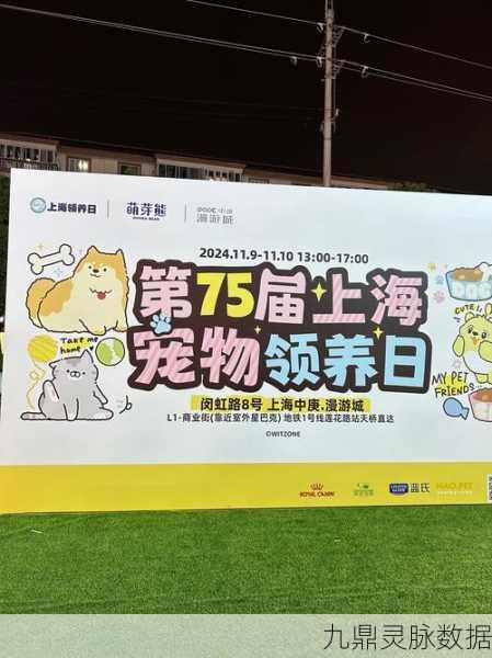 地铁偶遇萌宠,开启温馨猫咪养成之旅