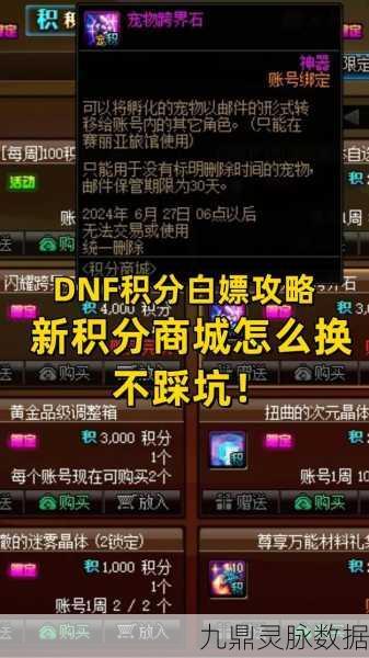 稀有DNF宠物交易，市场风云下的璀璨星辰