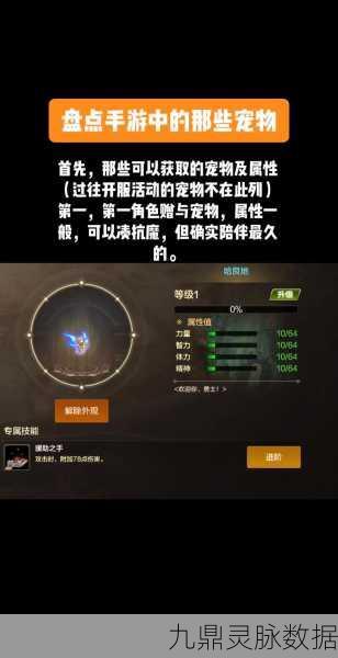 稀有DNF宠物交易,市场风云下的璀璨星辰