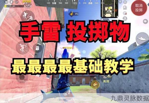绝地求生刺激战场，掌握丢雷绝技，称霸战场的秘籍