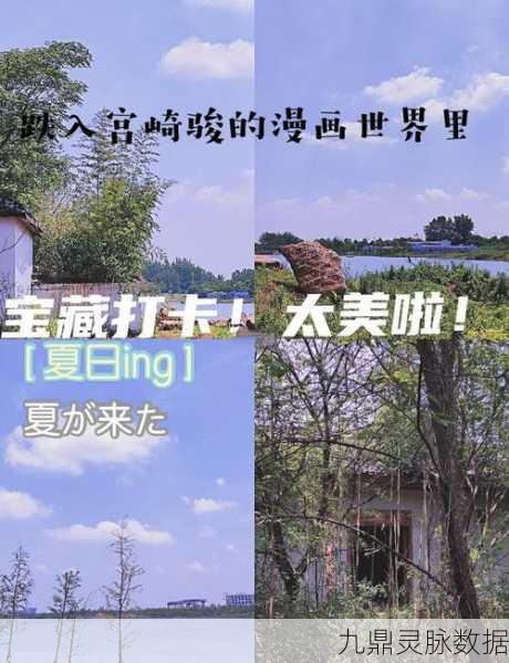 世界之外,一场无尽奇幻之旅的深度探索与魅力揭秘