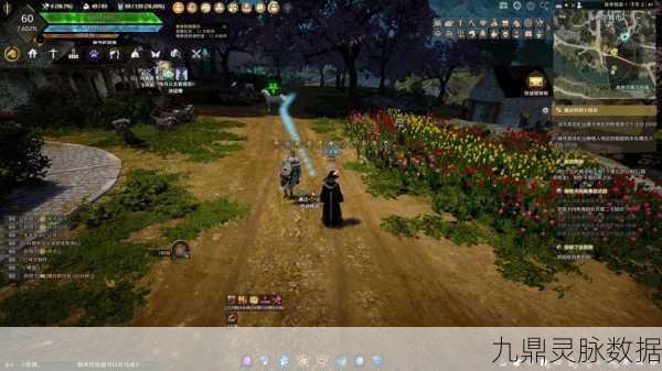 黑色沙漠手游,揭秘北部大农场主人的神秘位置