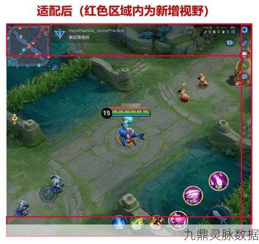 王者荣耀画面调整秘籍，轻松放大你的游戏视界