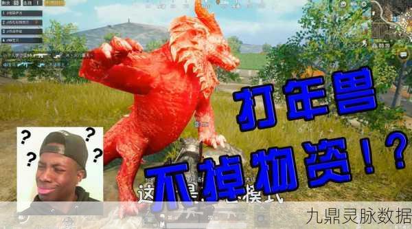 绝地求生红色三角之谜,解锁游戏中的隐藏密码?