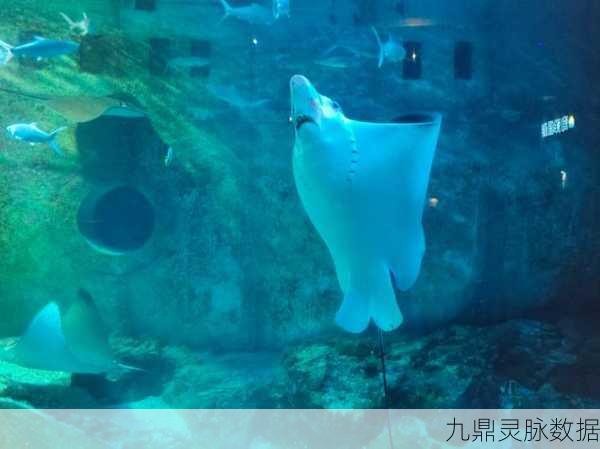 海底奇遇,解锁海晶灯,照亮我的世界璀璨之美