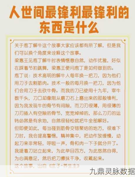 烟雨江湖中的庖丁菜刀,解锁多重用途与技巧的深度探索