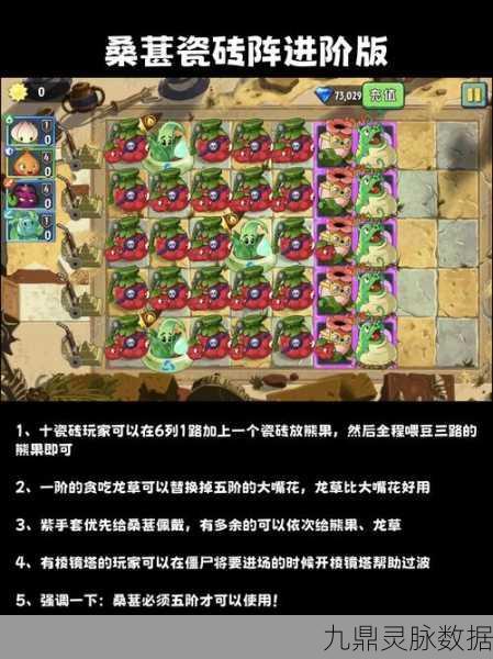 植物大战僵尸2牌面纷争,资深玩家的制胜秘籍