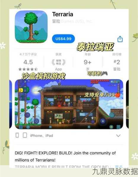 泰拉瑞亚奇遇,解锁钴蓝稿的奇幻探索之旅