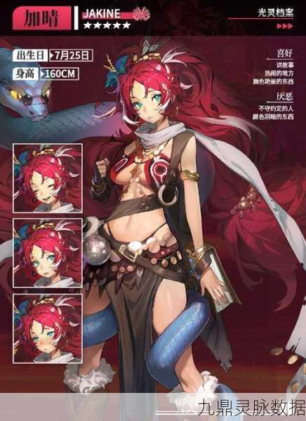 白夜极光纳米西斯,面板数据背后的深度角色剖析