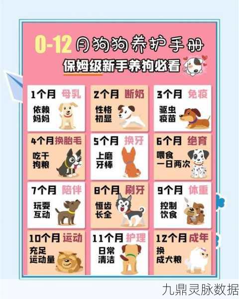 成长小狗，萌宠相伴的放置养成之旅