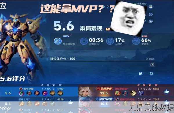 王者荣耀职业赛场，手柄禁令下的公平竞技