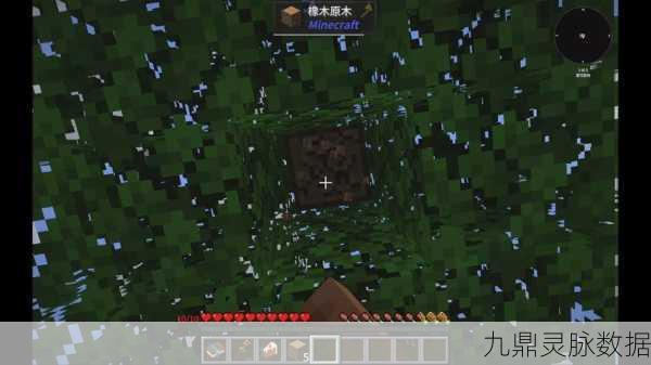 我的世界去皮橡木原木获取秘籍,打造你的梦幻家园
