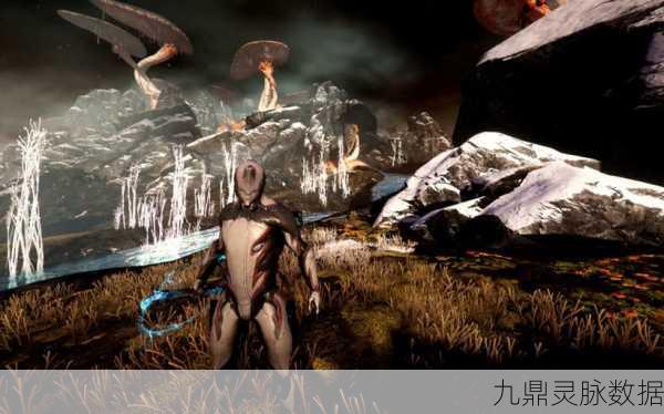Wegame与Steam星际战甲,差异全解析