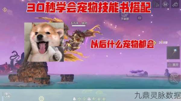 妄想山海，解锁宠物美食家秘籍，打造专属萌宠盛宴