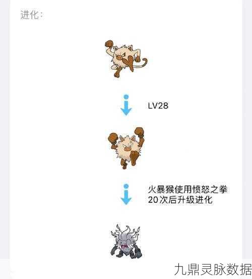 口袋妖怪红宝石386,顶尖牛宠20只大揭秘