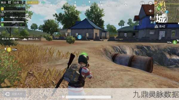 二人世界刺激战场,携手夺冠的甜蜜攻略
