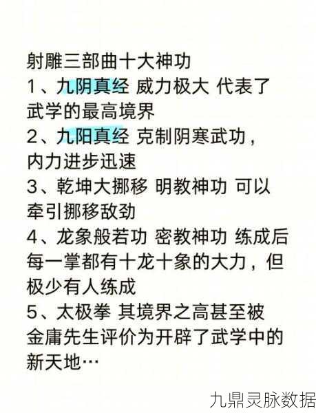 射雕飞雷刺秘籍大揭秘，三步解锁隐藏武学秘籍