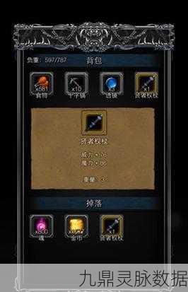 地下城堡2重制版深度攻略，解锁神秘迷宫的秘密之门