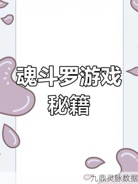 魂斗罗三十命大揭秘，解锁游戏新境界，重塑你的冒险之旅！