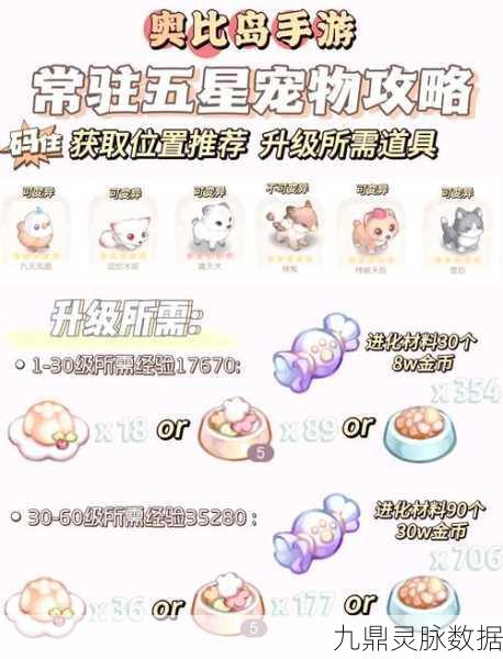 奥比岛宠物获取全攻略，解锁你的萌宠伙伴