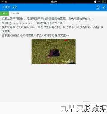 迷你世界龙蛋孵化全攻略,解锁龙蛋孵化技巧