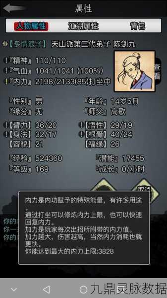 放置江湖崆峒秘籍深探，风云变幻尽在掌握