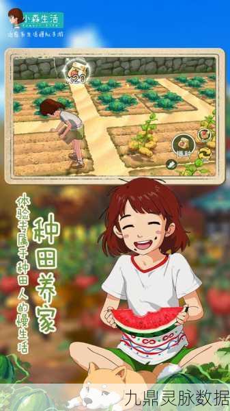 小森生活甲虫鬼胜猛，深度探索其独特属性与非凡魅力