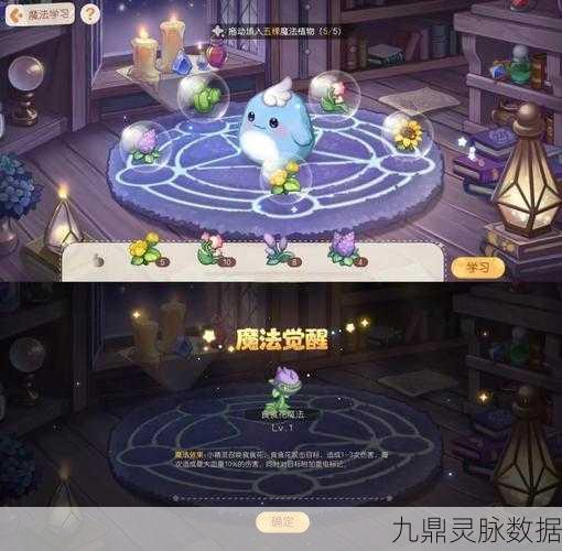 奥比岛新秘诀揭秘，与摩尔共舞的奇妙之旅